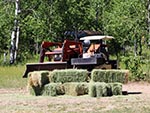 Bundles of hay and farm equipment can be seen here, needed for taking care of horses during the summer.
