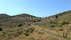 Fossil Mountain Hike